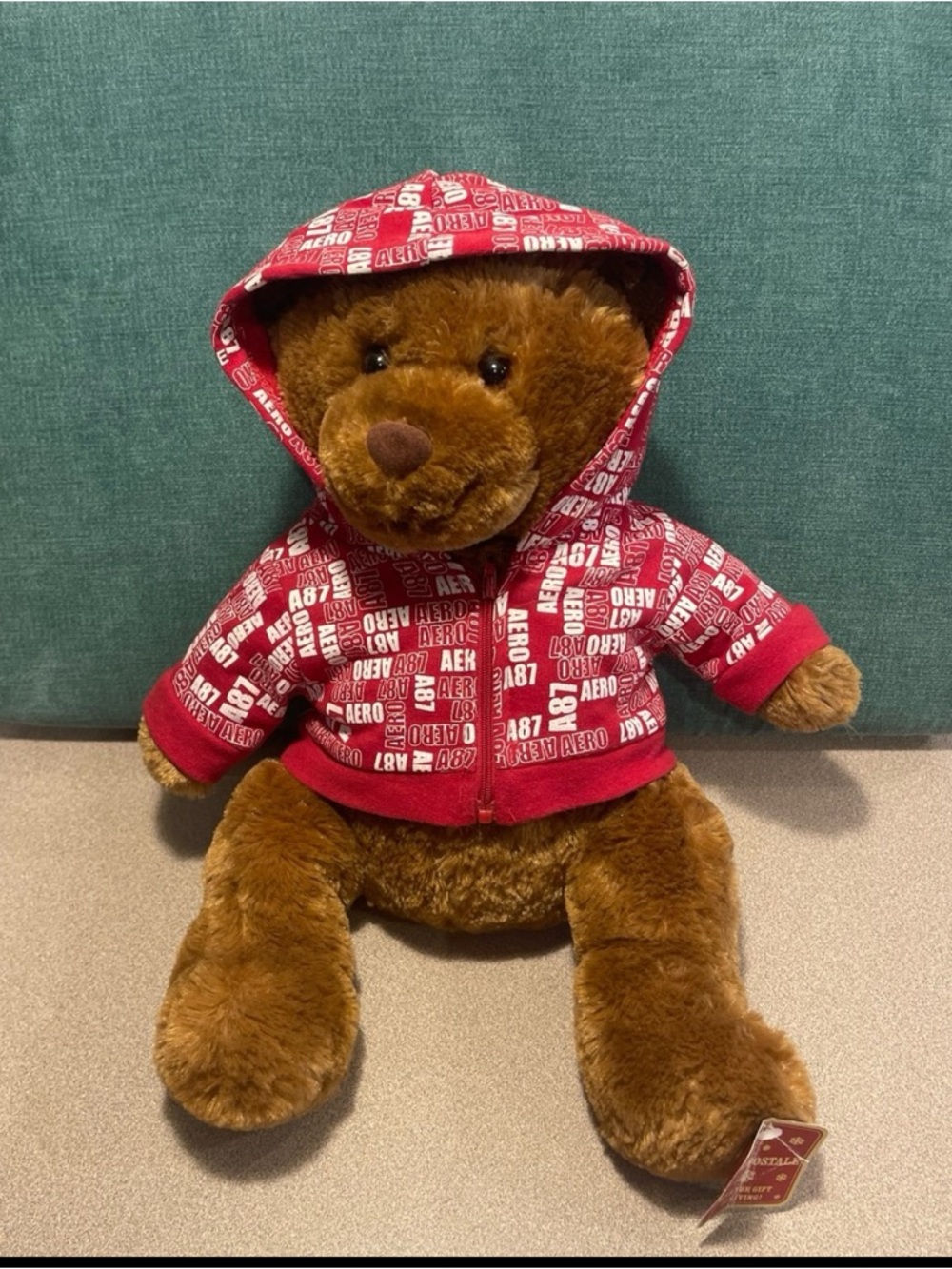 Aeropostale Aero Bear Red Hoodie Logo Brown Plush 2007